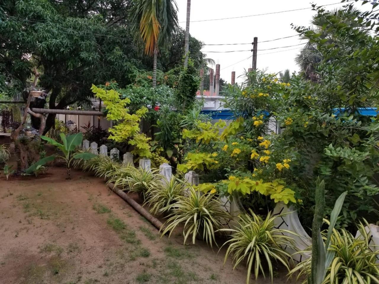 Berty'S Cottage Τζάφνα Εξωτερικό φωτογραφία