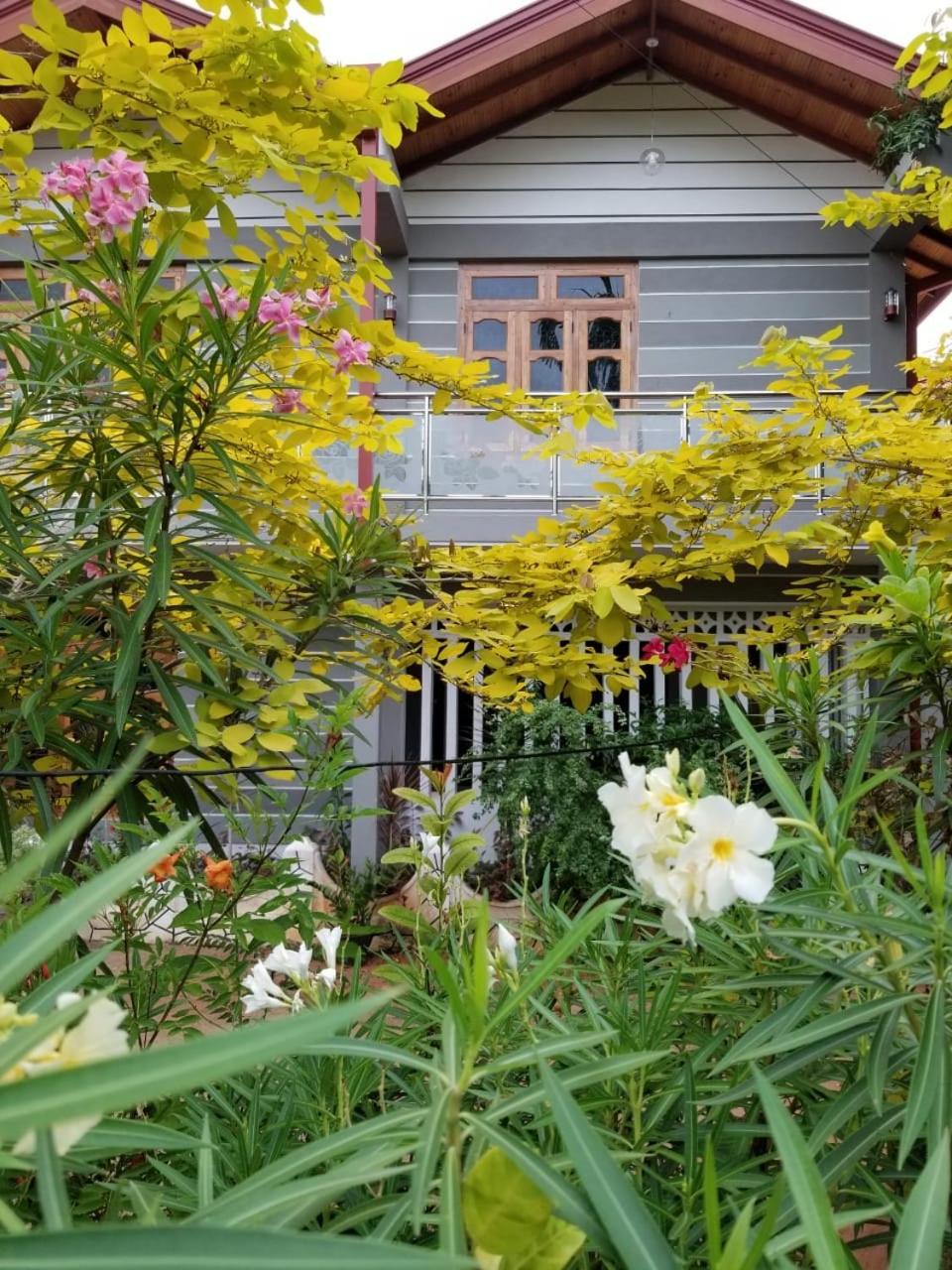 Berty'S Cottage Τζάφνα Εξωτερικό φωτογραφία